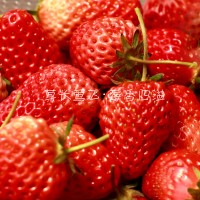 青岛草莓采摘团购开始了 还不快来