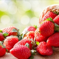 青岛草莓—做草莓，我们是认真的
