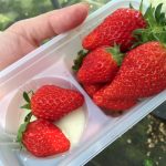 青岛草莓采摘观光农业园