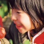 草莓，让这个冬天不太冷