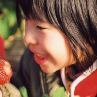 青岛草莓采摘节帮助城市快节奏生活人群放松的好去处