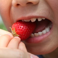 2024，来青岛毛公山体验草莓采摘的乐趣